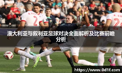 bsports官网入口